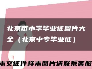 北京市小學畢業證圖片大全（北京中專畢業證）縮略圖