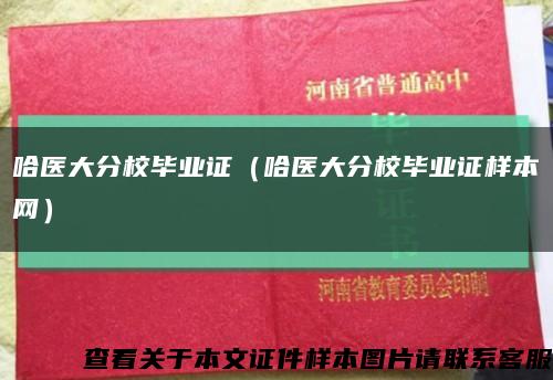 哈醫大分校畢業證（哈醫大分校畢業證樣本網）縮略圖