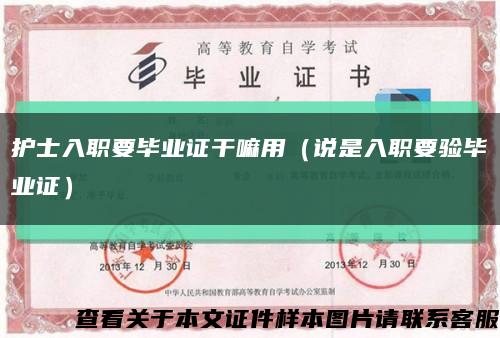 護士入職要畢業證干嘛用（說是入職要驗畢業證）縮略圖