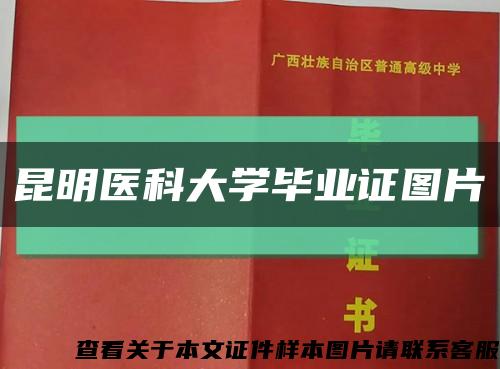 昆明醫科大學畢業證圖片縮略圖