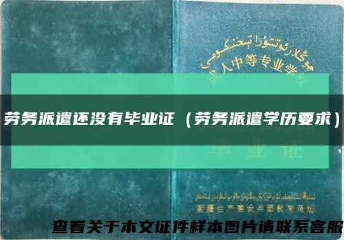 勞務派遣還沒有畢業證（勞務派遣學歷要求）縮略圖