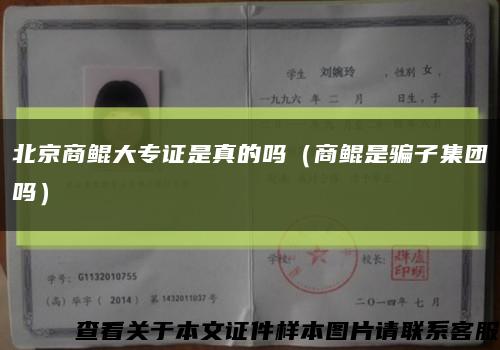 北京商鯤大專證是真的嗎（商鯤是騙子集團嗎）縮略圖
