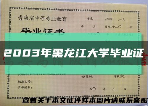 2003年黑龍江大學畢業證縮略圖