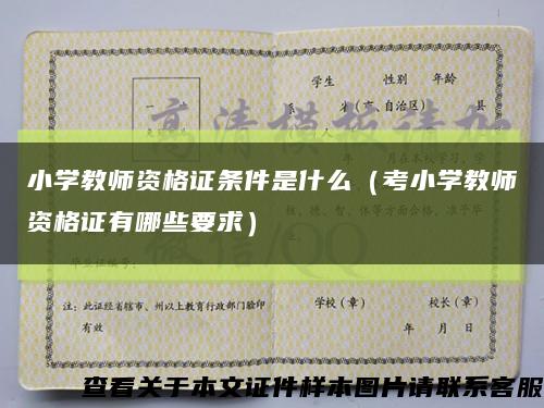 小學教師資格證條件是什么（考小學教師資格證有哪些要求）縮略圖