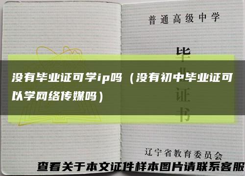 沒有畢業證可學ip嗎（沒有初中畢業證可以學網絡傳媒嗎）縮略圖