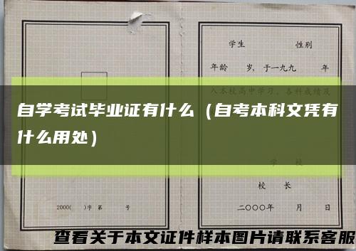 自學考試畢業證有什么（自考本科文憑有什么用處）縮略圖