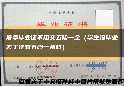 沒拿畢業證不用交五險一金（學生沒畢業去工作有五險一金嗎）縮略圖