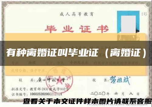 有種離婚證叫畢業證（離婚證）縮略圖