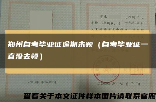 鄭州自考畢業證逾期未領（自考畢業證一直沒去領）縮略圖
