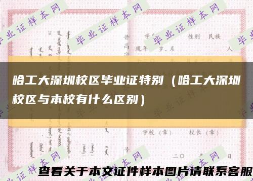 哈工大深圳校區畢業證特別（哈工大深圳校區與本校有什么區別）縮略圖
