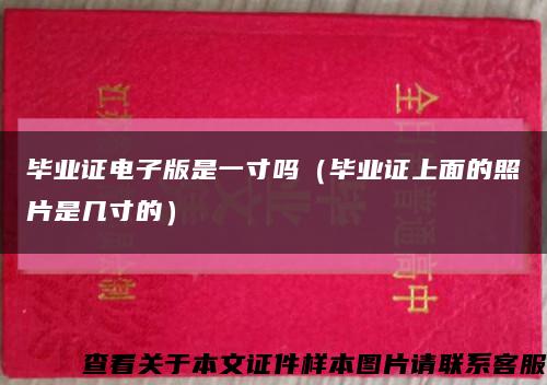 畢業證電子版是一寸嗎（畢業證上面的照片是幾寸的）縮略圖