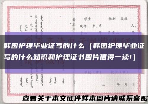 韓國護理畢業證寫的什么（韓國護理畢業證寫的什么知識和護理證書圖片值得一讀!）縮略圖