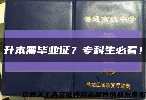 升本需畢業證？?？粕乜?！縮略圖