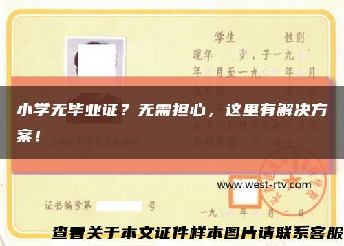小學無畢業證？無需擔心，這里有解決方案！縮略圖