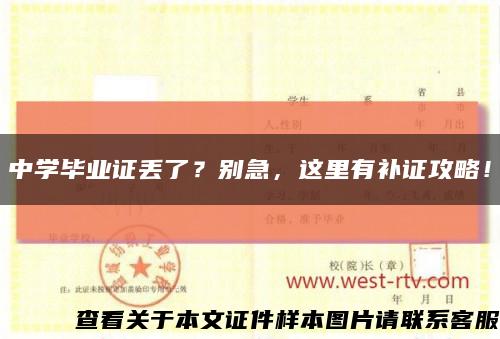 中學畢業證丟了？別急，這里有補證攻略！縮略圖