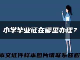 小學畢業證在哪里辦理？縮略圖