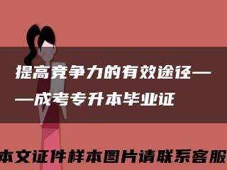 提高競爭力的有效途徑——成考專升本畢業證縮略圖