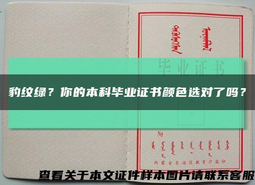 豹紋綠？你的本科畢業證書顏色選對了嗎？縮略圖