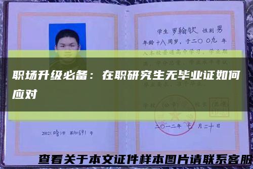職場升級必備：在職研究生無畢業證如何應對縮略圖