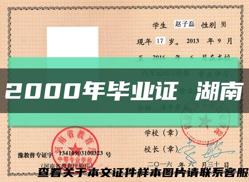 2000年畢業證 湖南縮略圖