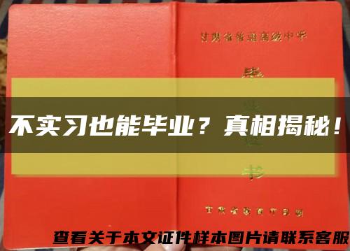 不實習也能畢業？真相揭秘！縮略圖