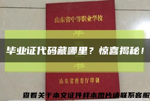 畢業證代碼藏哪里？驚喜揭秘！縮略圖
