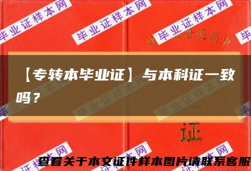 【專轉本畢業證】與本科證一致嗎？縮略圖
