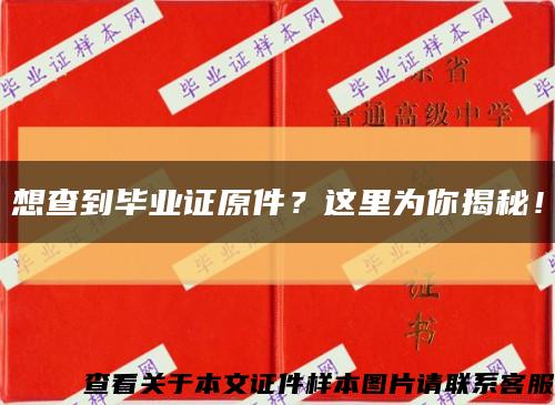 想查到畢業證原件？這里為你揭秘！縮略圖