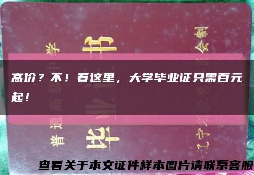 高價？不！看這里，大學畢業證只需百元起！縮略圖