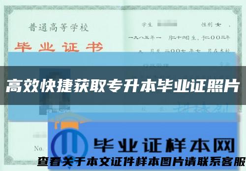 高效快捷獲取專升本畢業證照片縮略圖