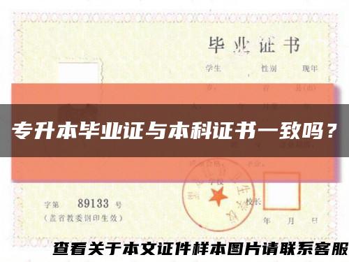 專升本畢業證與本科證書一致嗎？縮略圖