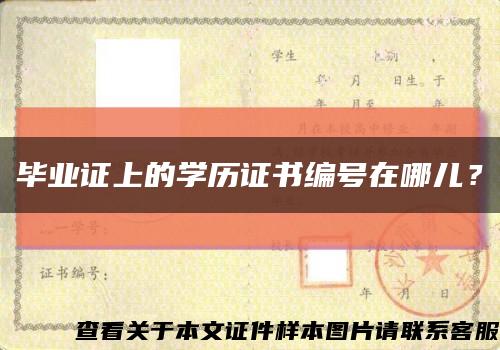 畢業證上的學歷證書編號在哪兒？縮略圖