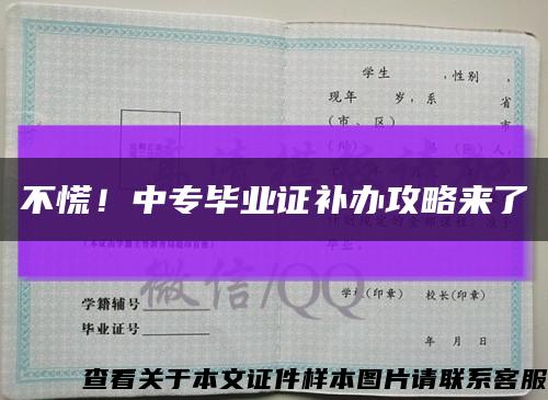 不慌！中專畢業證補辦攻略來了縮略圖