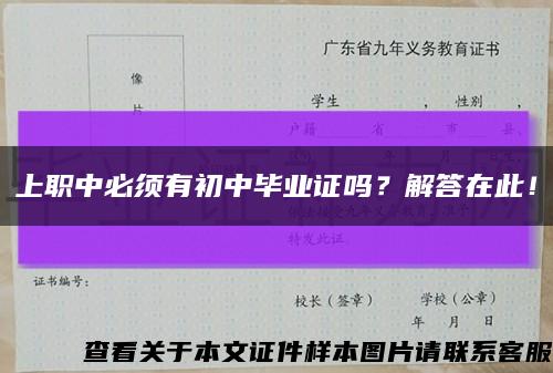 上職中必須有初中畢業證嗎？解答在此！縮略圖