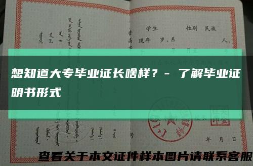想知道大專畢業證長啥樣？- 了解畢業證明書形式縮略圖