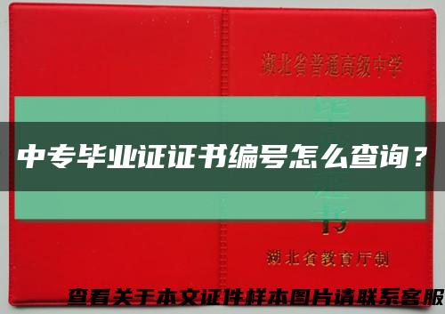中專畢業證證書編號怎么查詢？縮略圖