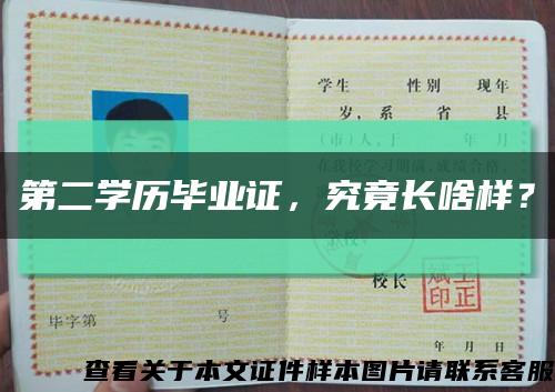 第二學歷畢業證，究竟長啥樣？縮略圖