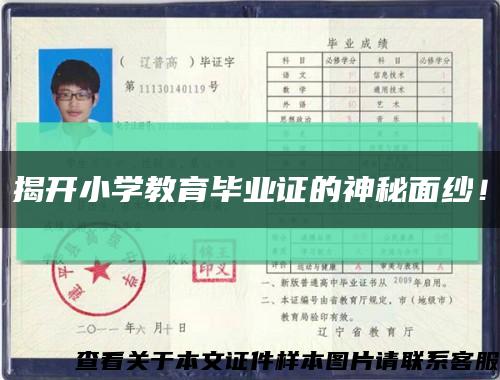 揭開小學教育畢業證的神秘面紗！縮略圖