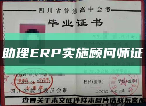 助理ERP實施顧問師證縮略圖