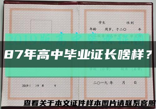 87年高中畢業證長啥樣？縮略圖