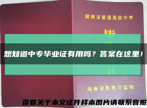想知道中專畢業證有用嗎？答案在這里！縮略圖