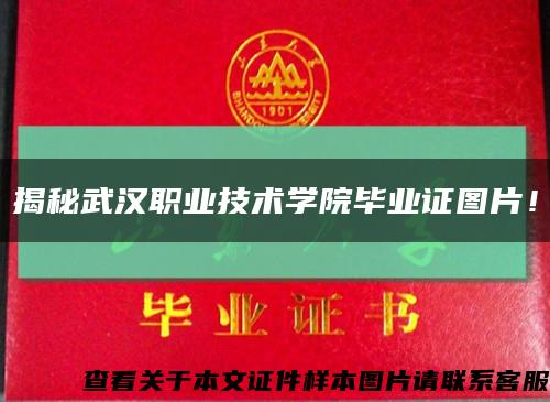 揭秘武漢職業技術學院畢業證圖片！縮略圖
