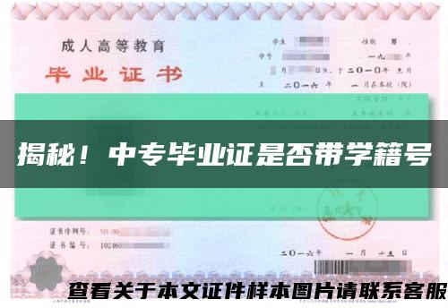 揭秘！中專畢業證是否帶學籍號縮略圖