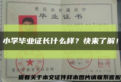 小學畢業證長什么樣？快來了解！縮略圖