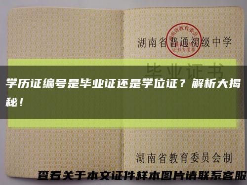 學歷證編號是畢業證還是學位證？解析大揭秘！縮略圖