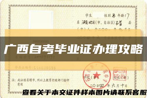 廣西自考畢業證辦理攻略縮略圖