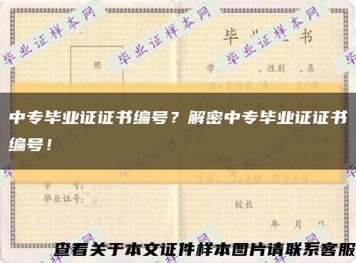 中專畢業證證書編號？解密中專畢業證證書編號！縮略圖