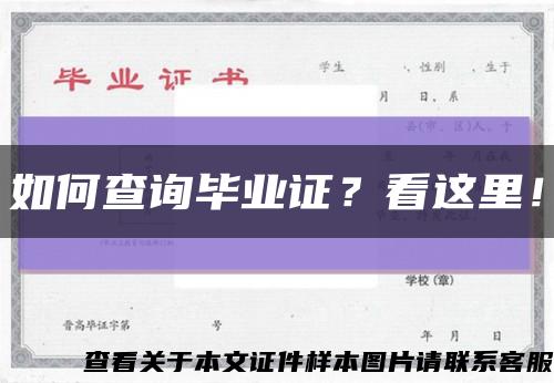 如何查詢畢業證？看這里！縮略圖