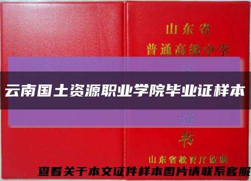 云南國土資源職業學院畢業證樣本縮略圖