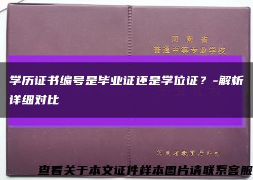 學歷證書編號是畢業證還是學位證？-解析詳細對比縮略圖